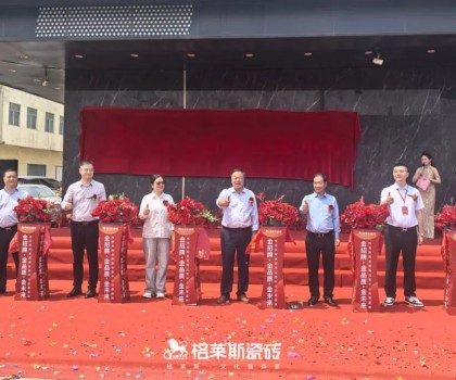 三金為盟 共贏未萊│西南/河北格萊斯運(yùn)營中心啟幕盛典暨戰(zhàn)略峰會(huì)圓滿舉行